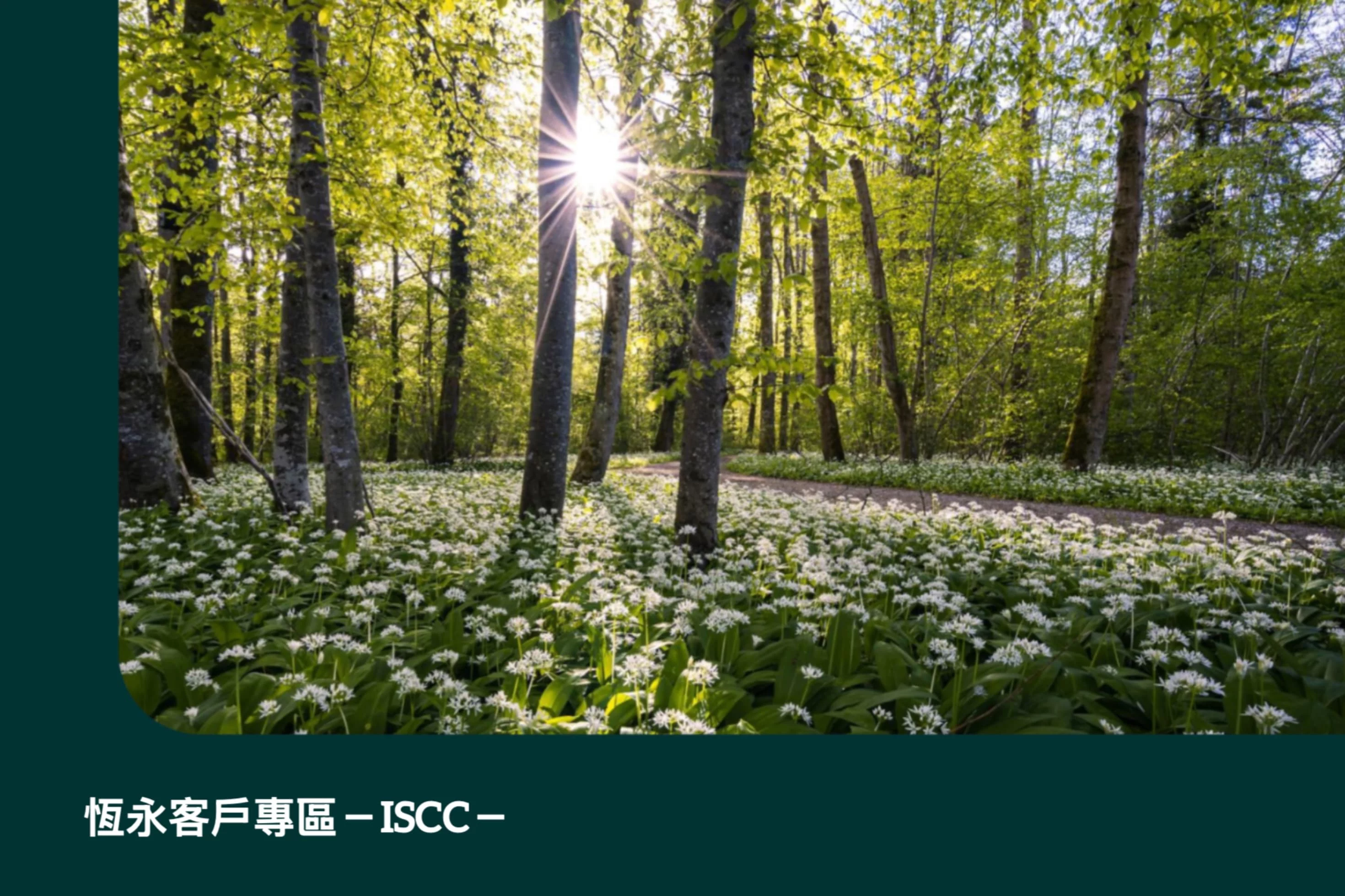 StayGold-ISCC-Customer-Download-Area 恆永企業ISCC客戶下載專區,立即掌握重點文件